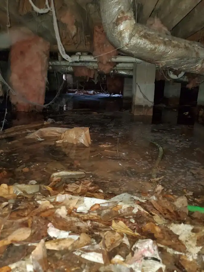 Crawl space flood assessment for Leak Detection & Repair in Laguna Hills